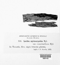 Image Associated With the Occurence